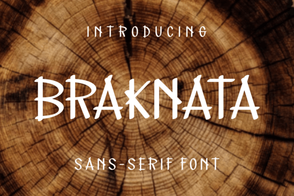Braknata Font Review for Digital Campaign Design