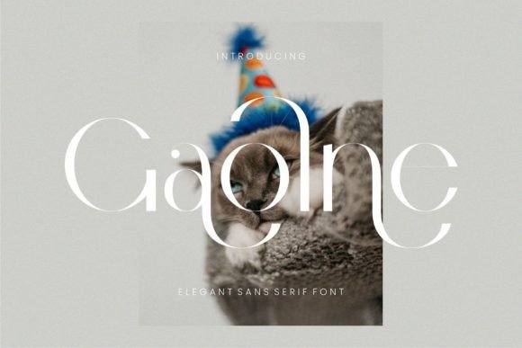 Gaolne Font: Elevating Luxury Marketing and Chic Brand Design