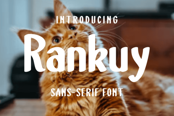 Rankuy Font: A Modern Sans Serif for Makers