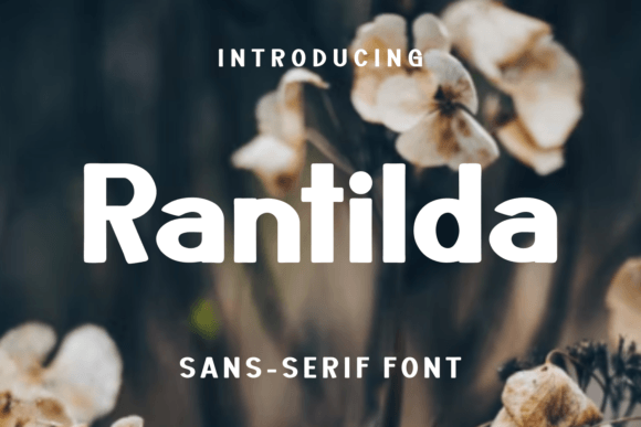 Rantilda Font Review: A Unique Sans Serif for Editorial Design