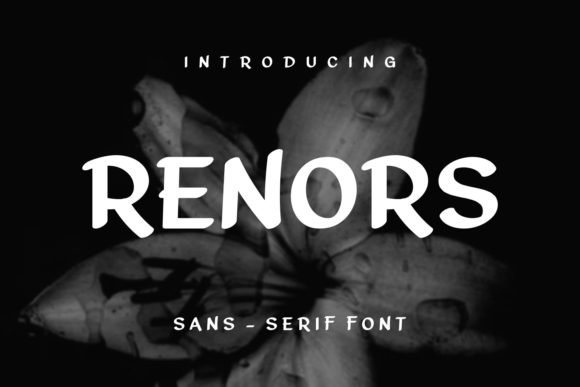 Renors Font: Elevating Editorial Layouts with Unique Sans Serif Style