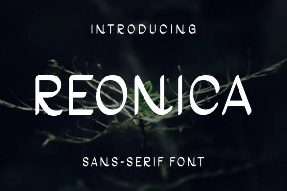 Reonica Font: Elevating Campaign Visuals with Unique Sans Serif Style